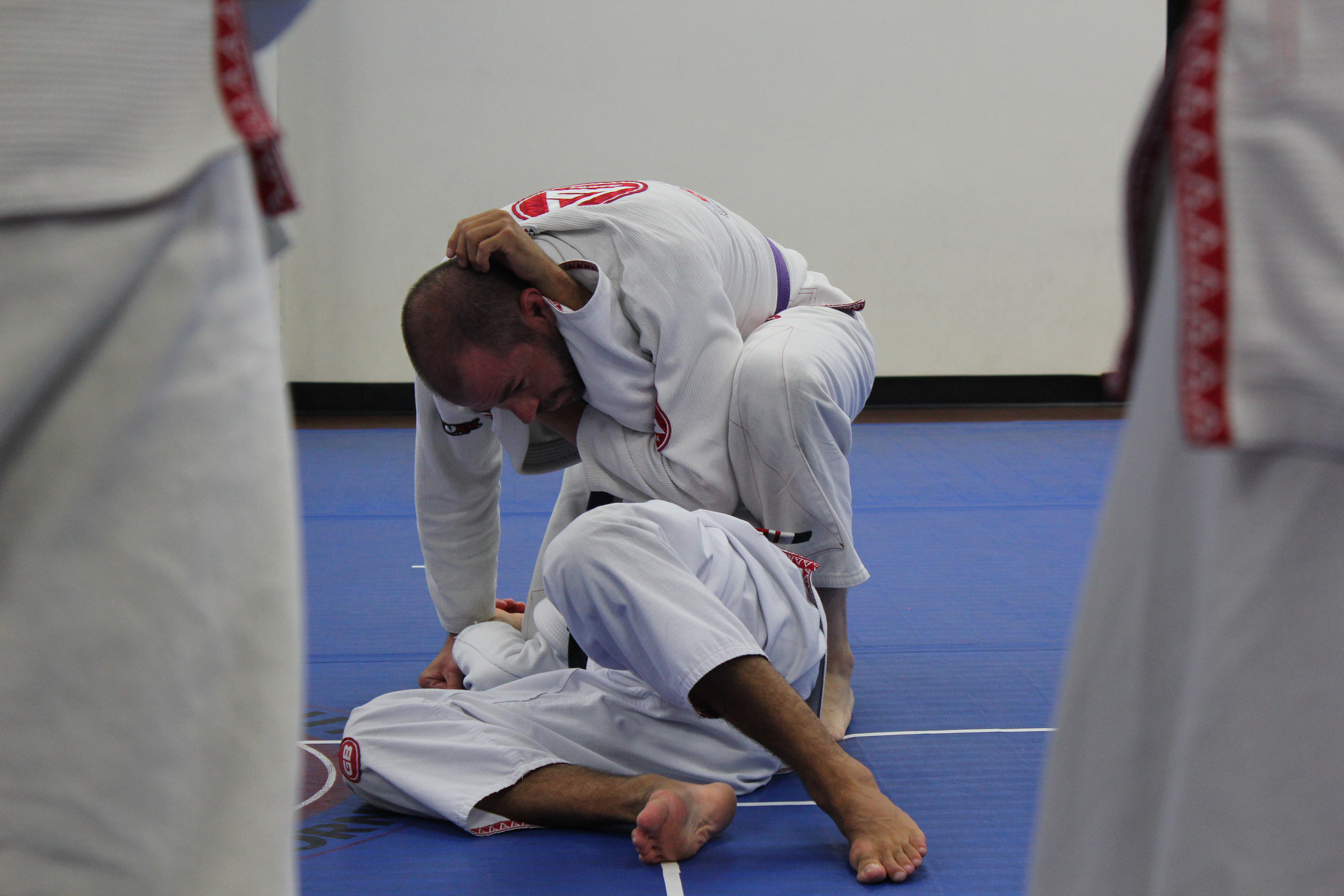 the-purple-belt-in-bjj-gracie-barra-brazilian-jiu-jitsu-martial