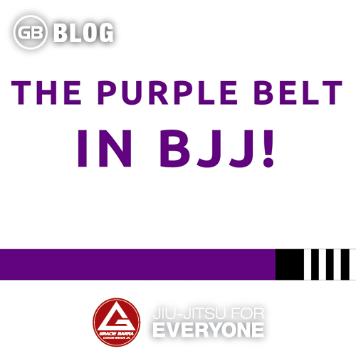 The Purple Belt in Bjj | Gracie Barra - Brazilian Jiu-Jitsu - Martial