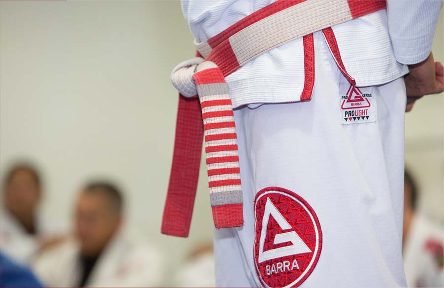 Gracie Barra Programs