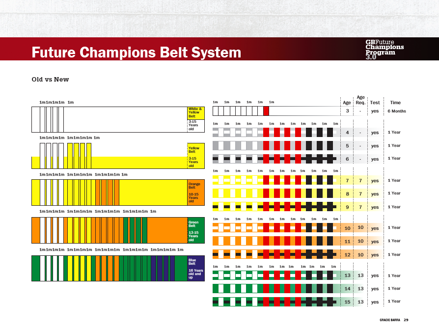 5 Keys for a Successful Jiu-Jitsu Program for Children | Gracie Barra ...