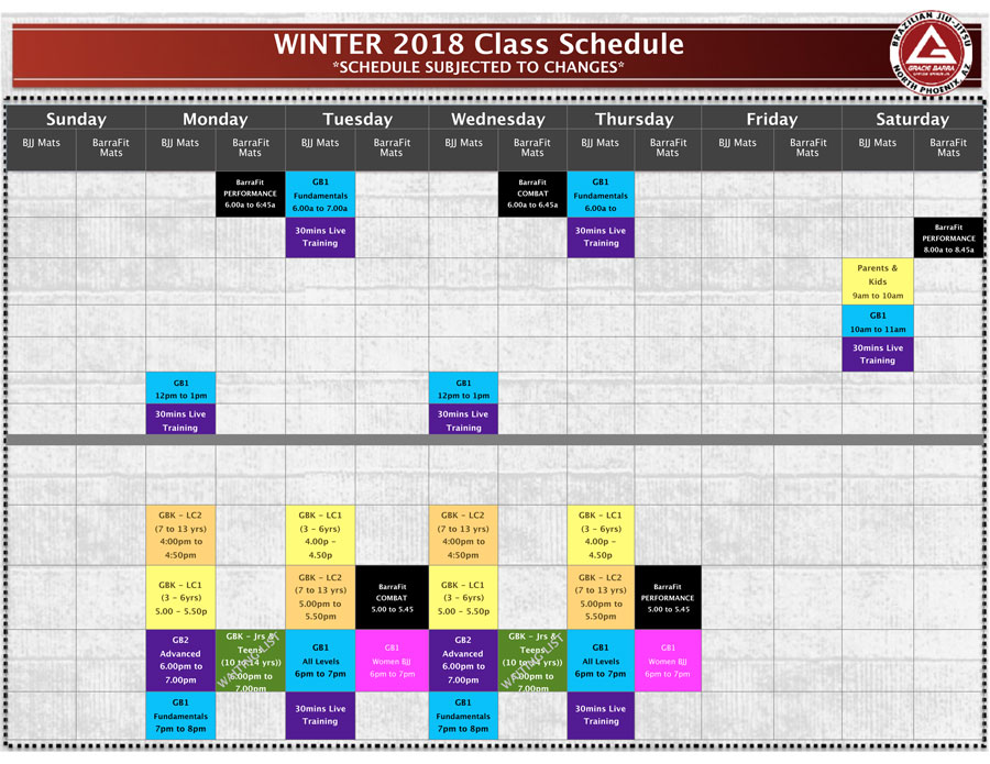 Bjj white cheap belt curriculum