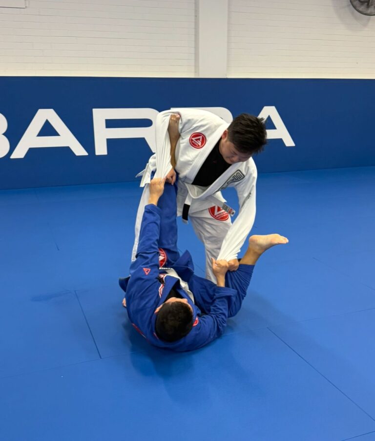 Adults Brazilian Jiu-Jitsu class beginners over 30 Artarmon