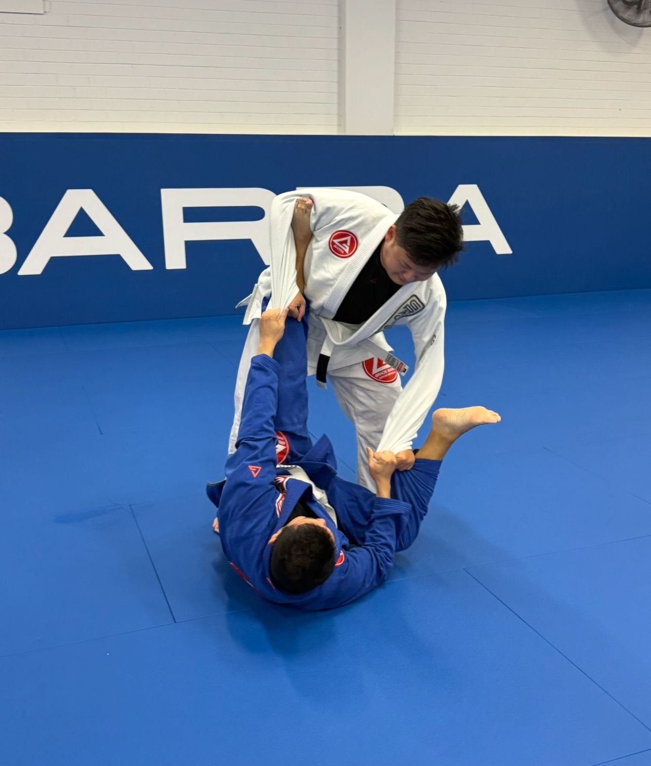 Adults Brazilian Jiu-Jitsu class beginners over 30 Artarmon