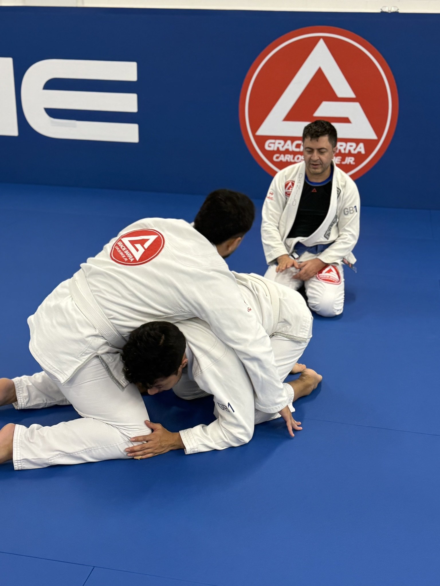 Adult beginner Brazilian Jiu-Jitsu class at Gracie Barra Artarmon