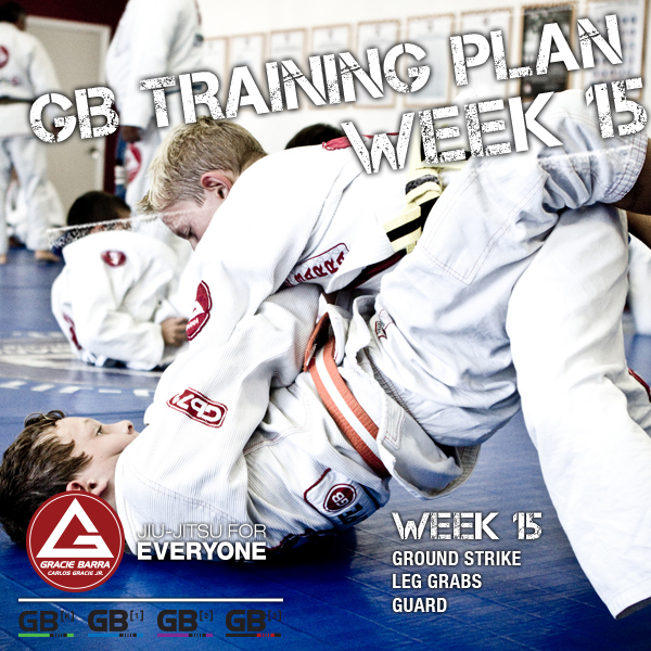 Week 15 Gracie Barra Training Curriculum