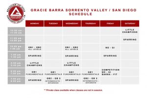 BJJ Class Schedule