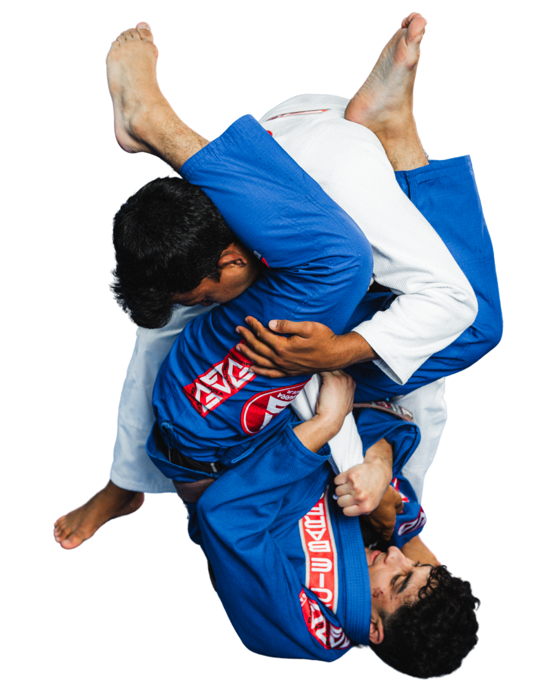 Two men in Gracie Barra gear performing Jiu-Jitsu