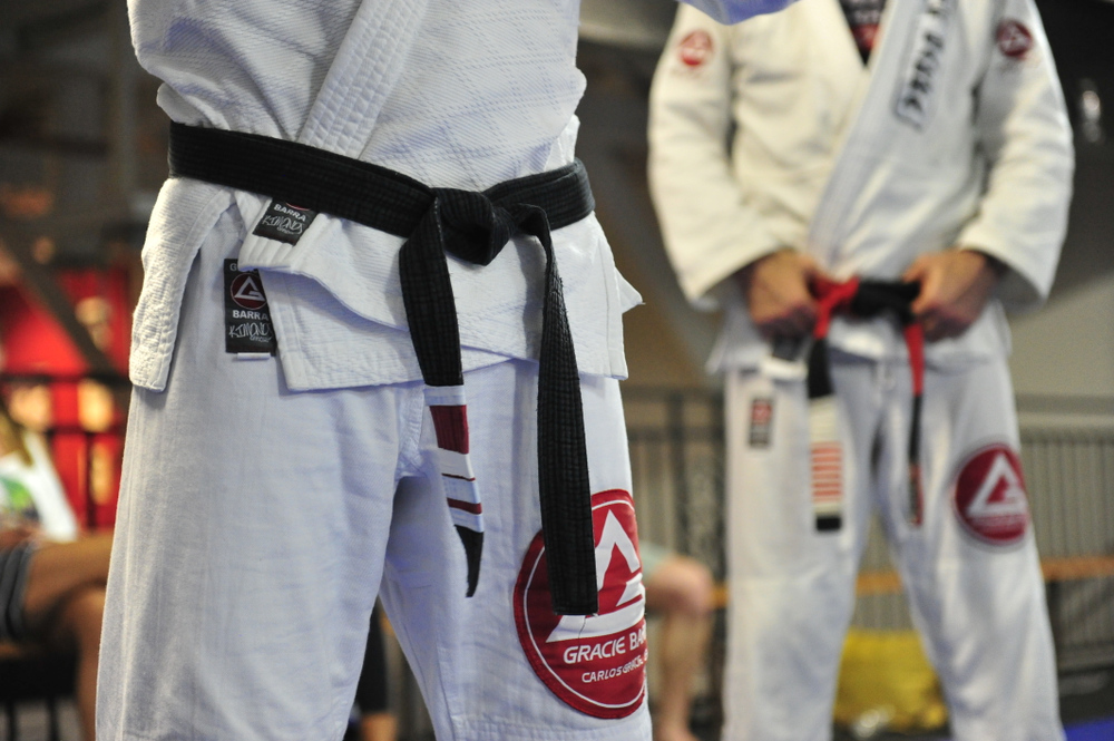 The Difference Between The Belts - Gracie Barra