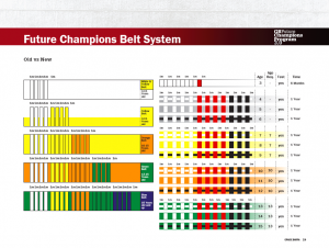 Gracie barra belt system sale