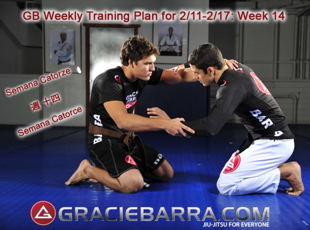 GB Weekly Training Plan Week 14