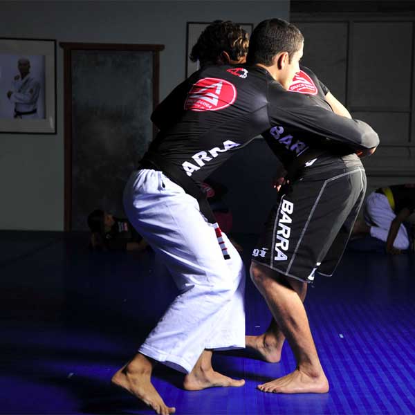 Gracie Barra Program